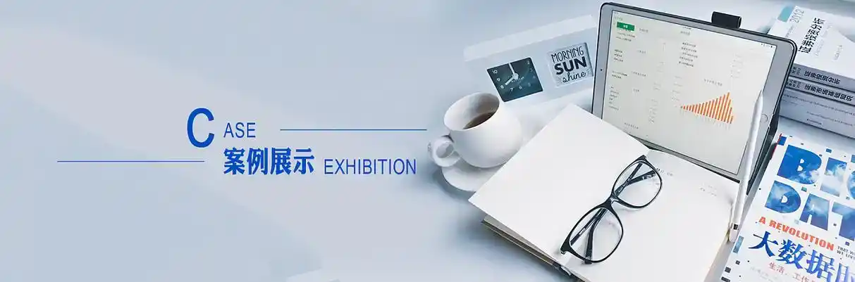 桦南县软件开发